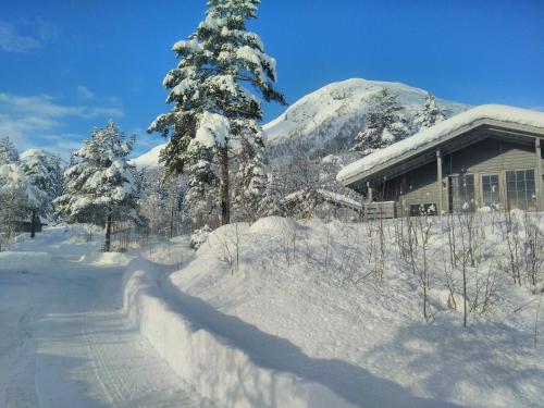 a house with a snow covered tree next to a building at Jølsterlia Hyttetun in Årdal