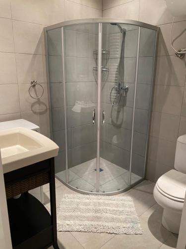 a bathroom with a shower with a sink and a toilet at Studio flat in Kedainiai in Kėdainiai