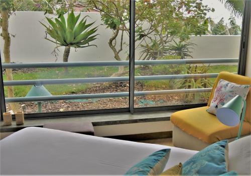 a room with a view of a plant outside a window at epicenter LAGOA in Lagoa