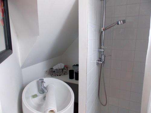 a bathroom with a shower and a sink at Domaine du Gué du Roi in Cléry-Saint-André