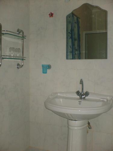 a bathroom with a white sink and a mirror at LUSHOTO EXECUTIVE LODGE in Lushoto