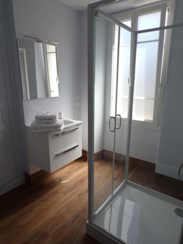 a bathroom with a glass shower stall and a sink at LES PRIMEVERES in Saint-Jean-Saint-Nicolas