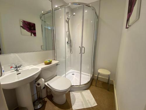 a bathroom with a shower and a toilet and a sink at The Royal Crown Guest House in Aberdeen