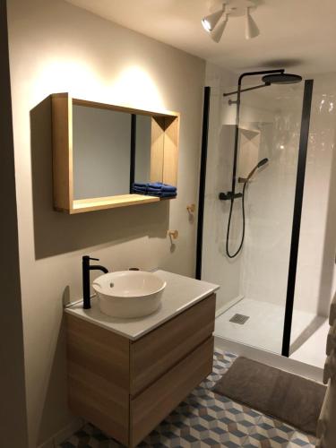 a bathroom with a sink and a shower at Le 20 in Cintegabelle