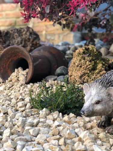 a figurine of a squirrel sitting on rocks at Residenza Airone in Vicenza
