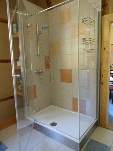 a shower with a glass enclosure in a bathroom at Ferienhaus Lehmannsbrück in Wolfsberg