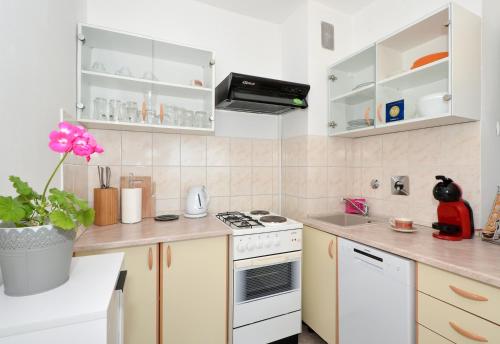 Kuchyň nebo kuchyňský kout v ubytování Apartment Vana