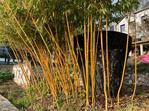 Zahrada ubytování Rouen ECO LODGES maison entière avec terrasse dans jardin potager piscine parking