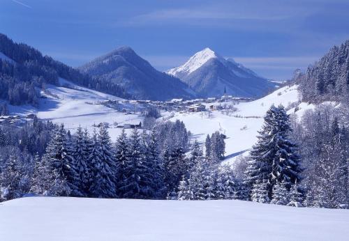 a snowy mountain with trees and a town in the distance at Haus Enzian in Thiersee