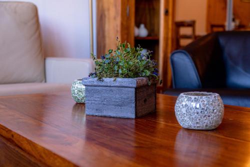 a wooden table with a potted plant on top of it at Apartmenthaus Edelweiss in Gosau in Gosau
