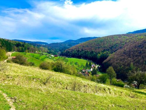 a view of a green hillside with trees in the distance at Hotel Aréna in Brumow
