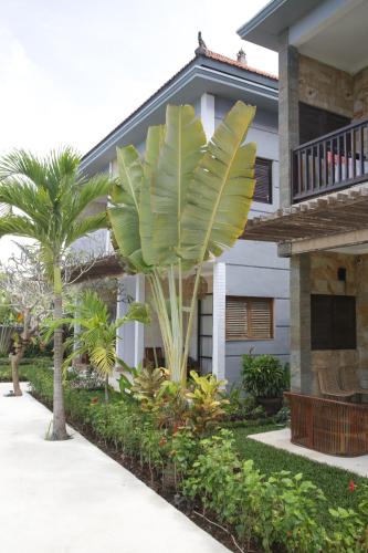 a palm tree in front of a house at Mangga Wangga Living in Uluwatu