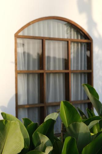a window behind a plant in front at Suku Lifestyle Hotel & Villas in Selong Belanak