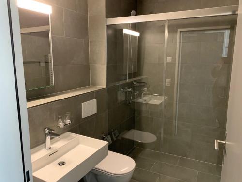 a bathroom with a toilet and a sink and a shower at SWAS by Livingdowntown in Zurich
