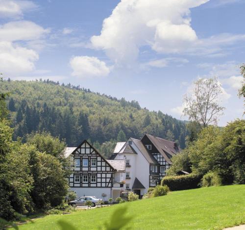 ein Haus auf einem Hügel mit einem Berg im Hintergrund in der Unterkunft Hotel & Gasthof Hubertushöhe - Ihr Hotel für Urlaub mit Hund in Schmallenberg