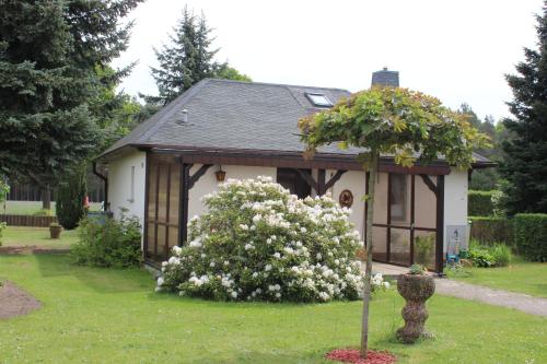 una pequeña casa blanca con un árbol en el patio en Ferienhaus Frado, en Briesen