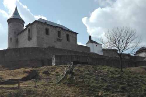 an old castle on a hill with a tree at Penzion U Nouzů in Staré Hradiště