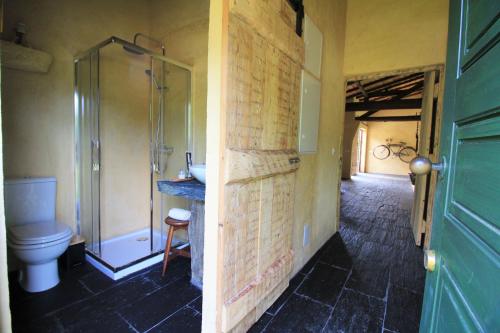 a bathroom with a shower and a toilet and a sink at Casa de Vilar de Rei, a tranquilidade do mundo rural in Ponte de Lima