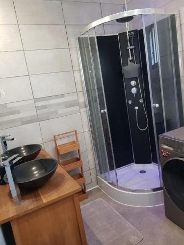 ein Bad mit einem Waschbecken und einer Dusche in der Unterkunft maison indépendante in Saint-Amand-en-Puisaye