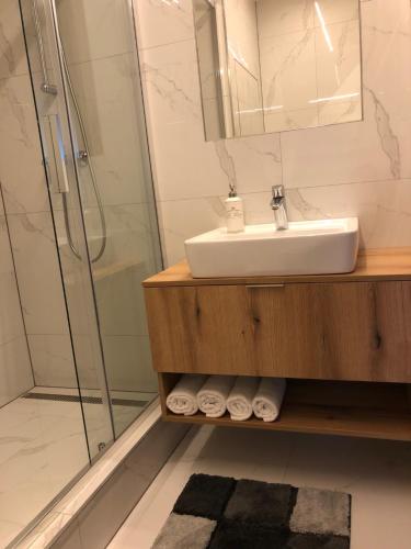 La salle de bains est pourvue d'un lavabo et d'une douche. dans l'établissement Studio Ostrava - Maroldova, à Ostrava