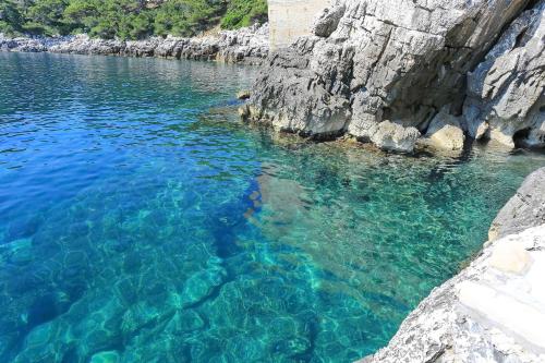 a view of a river with blue water at Apartments Skurla in Saplunara