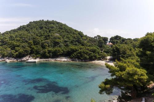 uma vista para uma praia com árvores e água azul em Apartments Skurla em Saplunara