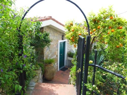 Un Posto al Sole – Photos 3