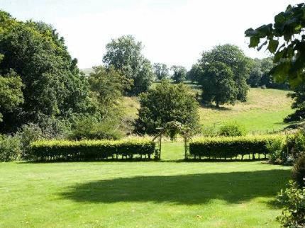 a field of grass with trees and a shadow at Langrish House in Petersfield