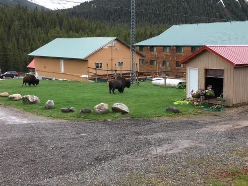 Antlers Lodge – Photos 5