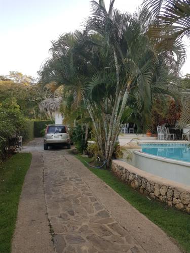 Galería fotográfica de Casa Flamingo en Las Terrenas