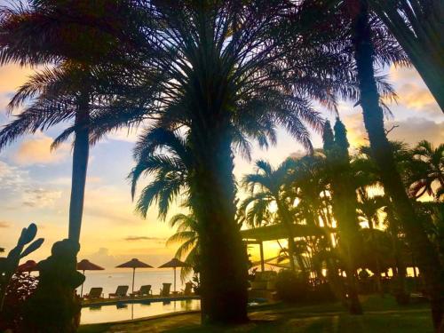 a group of palm trees and the ocean at sunset at Tauch Terminal Resort Tulamben & Spa in Tulamben