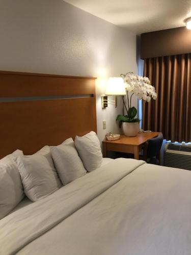 uma cama com almofadas brancas e uma secretária com um candeeiro em OceanView Motel em Huntington Beach