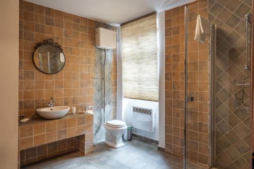 a bathroom with a toilet and a sink and a shower at Casa Schmidt in Criţ
