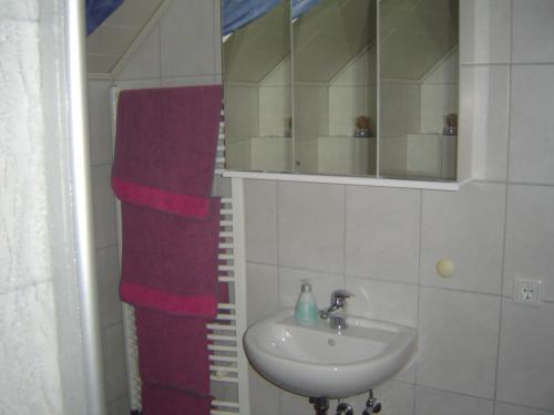 a bathroom with a sink and a mirror at Ferienwohnung Landleben 35195 in Hesel