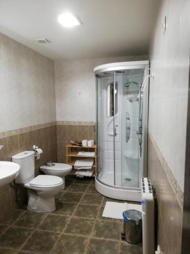 a bathroom with a shower and a toilet and a sink at Los Alisos Casa Rural in Guadalix de la Sierra