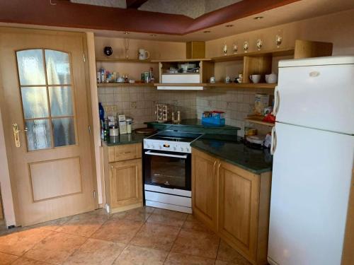 a kitchen with wooden cabinets and a white refrigerator at Resort Svět in Úžice