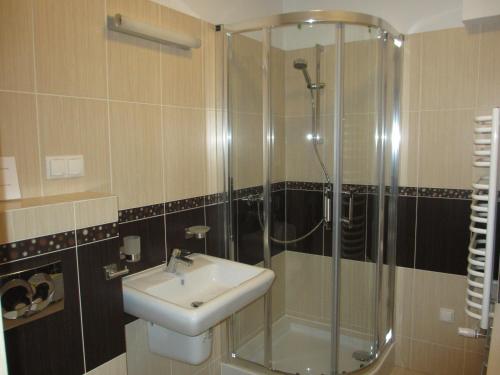 a bathroom with a sink and a shower at Krokusowa Polana in Kościelisko