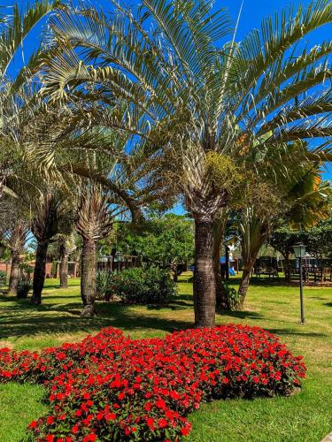 a park with palm trees and red flowers and palm trees at Villa de Holanda Parque Hotel in Holambra