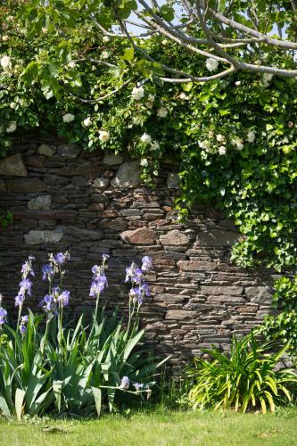 a stone wall with purple flowers and plants at La Metairie-du-Vauhariot - Vue Mer et Mont Saint Michel - Piscine Chauffée - Accès GR34 in Cancale