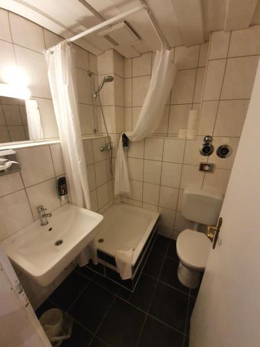 a small bathroom with a sink and a toilet at Pension Seibel in Munich