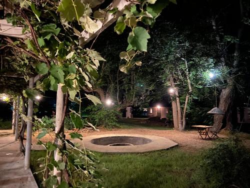 a garden at night with a bench and a table at Addo African Home in Addo