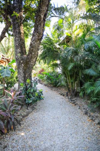 a path through a garden with trees and plants at Manala Hotel in Santa Teresa Beach