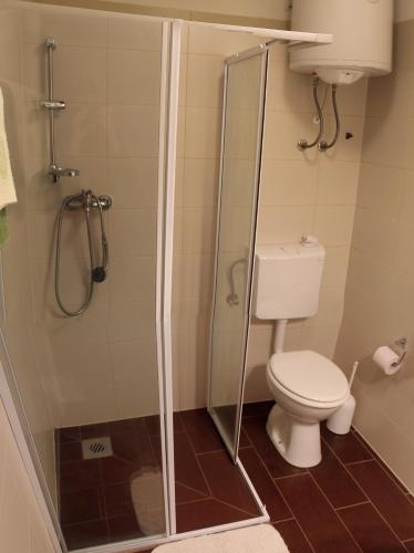 a bathroom with a toilet and a glass shower at Apartment Studio Fuart in Štinjan
