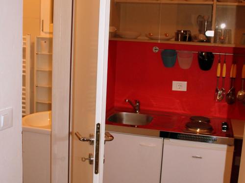 a kitchen with a sink and a red wall at Apartment Studio Fuart in Štinjan