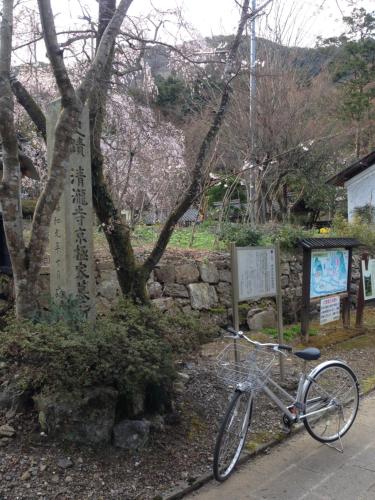 Ποδηλασία στο ゲストハウス メグルヤ 中山道柏原宿 ή στη γύρω περιοχή