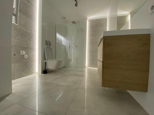 Ένα μπάνιο στο Apartamenty Centrum