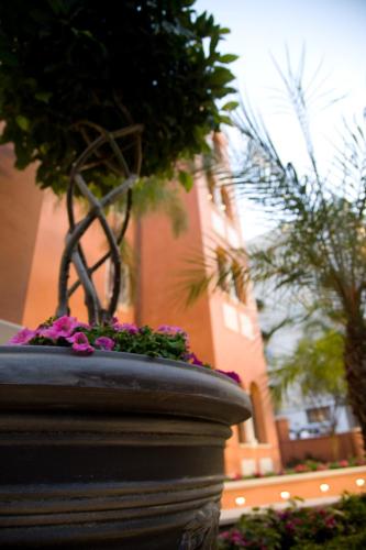 a planter with flowers in front of a building at Artemis Hotel in Cefalù