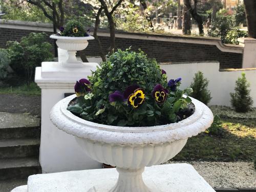 a white planter with flowers in it at Ravna Gora in London