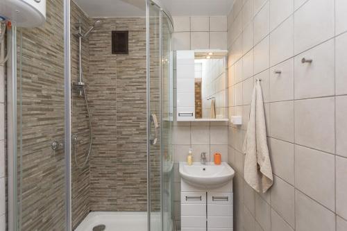 a bathroom with a shower and a sink at Metro Krasny Prospekt Apartment in Novosibirsk