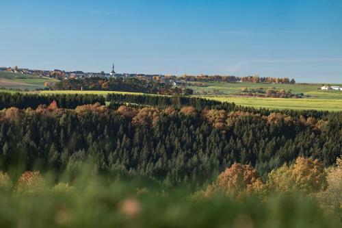 a view of a forest of trees in a field at Landhaus Heimisch Bed & Breakfast in Geisfeld